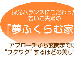 採光バランスにこだわった若いご夫婦の夢ふくらむ家