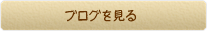 ブログを見る
